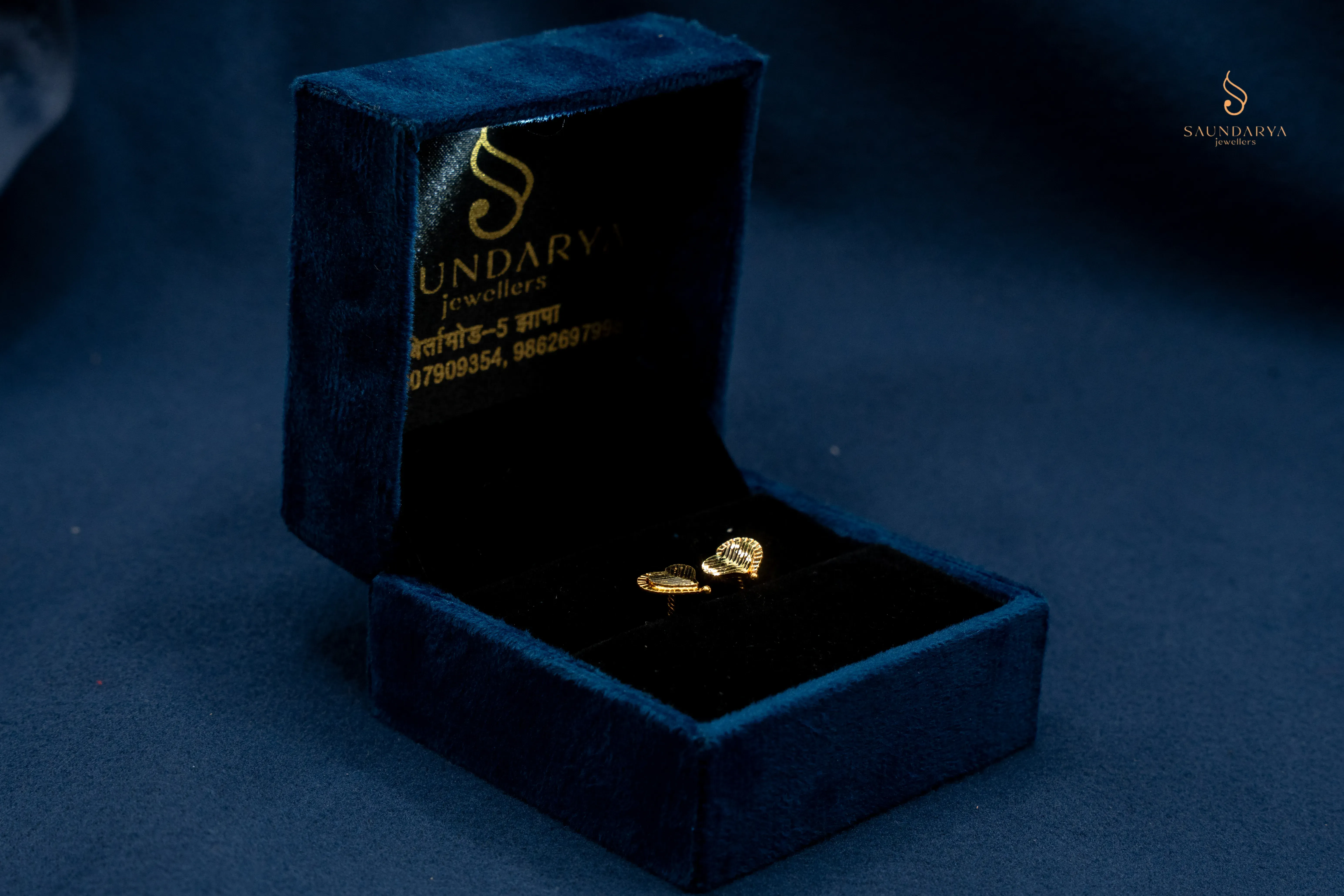 Ear Rings 23