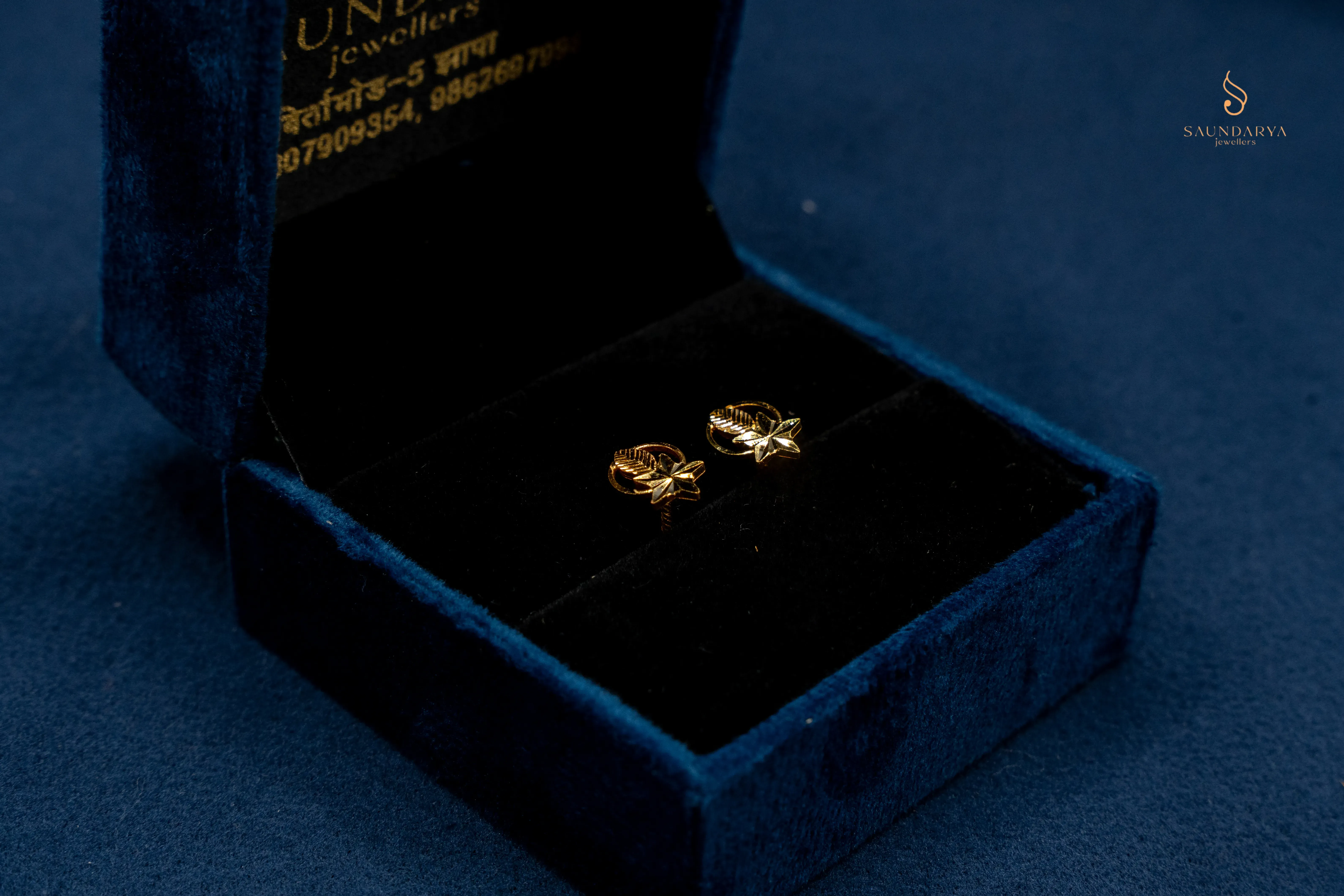 Ear Rings 24